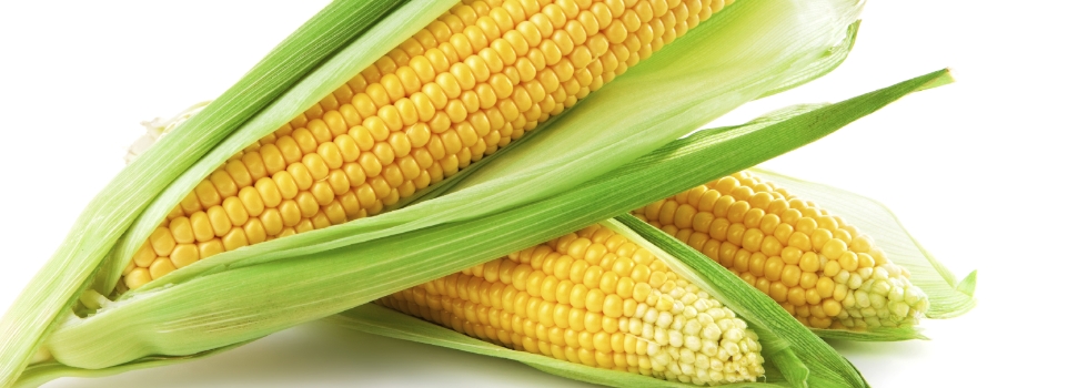 Ayurvedic Corn Soup